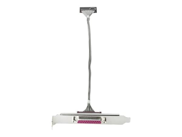 HP Parallel Port Adapter - Parallelladapter - IEEE 1284 - for HP 280 G2; Desktop Pro 300 G6; EliteDesk 70X G1, 800 G1; ProDesk 40X G1, 490 G2, 600 G1