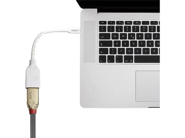 Lindy 41021 DisplayPort-kabel 0,15 m Mini DisplayPort Hvit