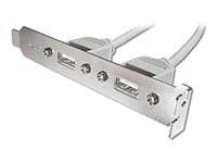 ASSMANN - USB-panel - 5 pin ingång (hona) till USB (hona) - 25 cm - beige
