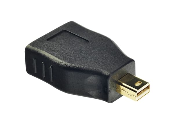 Lindy 41077 kabelkjønnsendring Mini Display Port Display Port Sort