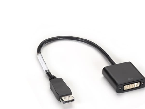 Black Box DisplayPort to DVI-D Adapter - DisplayPort-adapter - DisplayPort (hann) til DVI-D (hunn) - 30.48 cm - svart