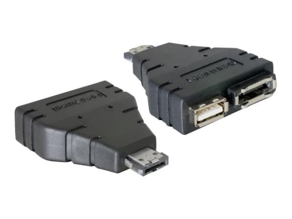 Delock Power Over ESATA adapter - Power Over eSATA-adapter - Serial ATA 150/300 - USB, eSATA til eSATAp (hann)