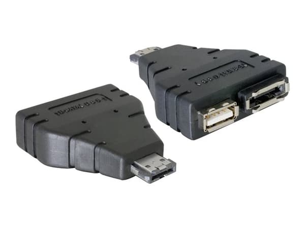 Delock Power Over ESATA adapter - Power Over eSATA-adapter - Serial ATA 150/300 - USB, eSATA til eSATAp (hann)