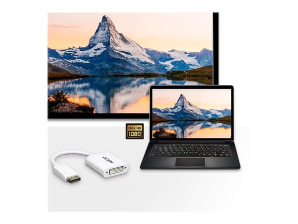 ATEN VC965-AT videokabelkobling DisplayPort DVI-I Hvit