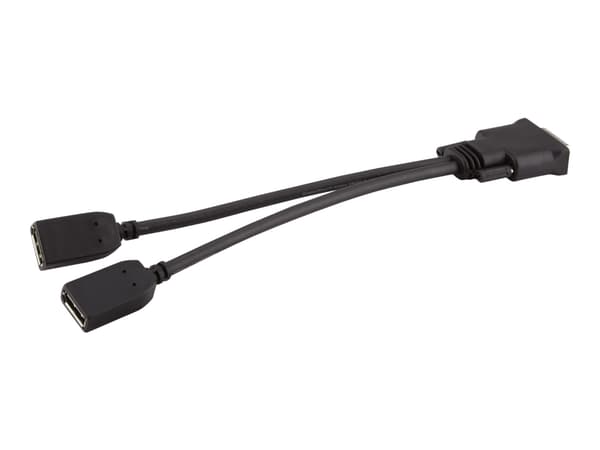 HP DMS-59 to Dual DisplayPort Kit - DisplayPort-sovitin - DisplayPort (hun) til DMS-59 (han) - Elite Slice for Meeting Rooms G2, Slice G2; ENVY 27, 7
