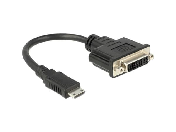 Delock - Video adapter - 19 pin mini HDMI Type C hann til DVI-I hunn - 20 cm - svart