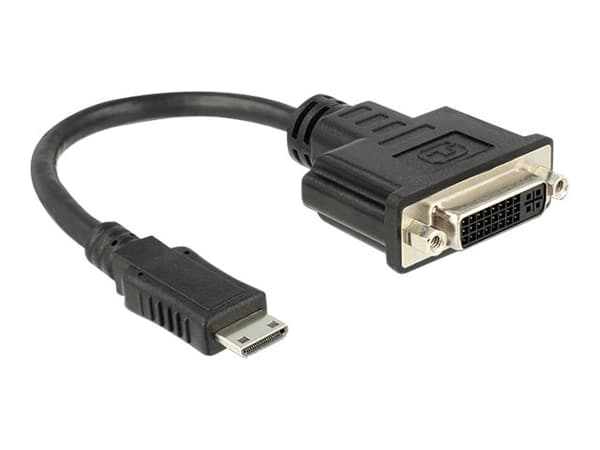 Delock - Video adapter - 19 pin mini HDMI Type C hann til DVI-I hunn - 20 cm - svart