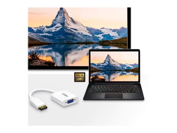 ATEN VC925-AT videokabelkobling DisplayPort VGA (D-Sub) Hvit