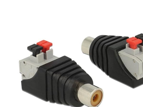 Delock - Audio-adapter - 2 stifts terminalblock hona till RCA hona