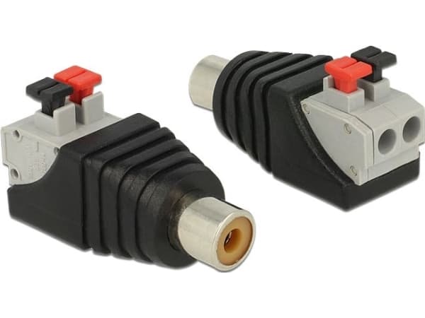 Delock - Audio-adapter - 2 stifts terminalblock hona till RCA hona