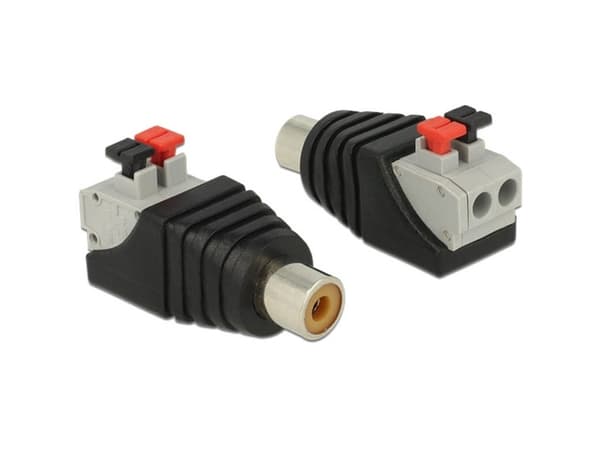 Delock - Audio-adapter - 2 stifts terminalblock hona till RCA hona