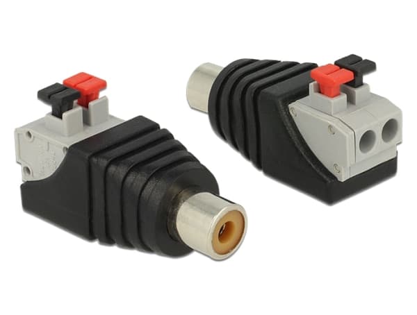 Delock - Audio-adapter - 2 stifts terminalblock hona till RCA hona