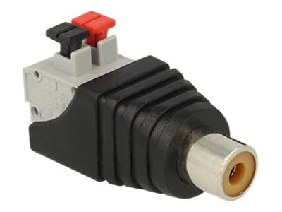 Delock - Audio-adapter - 2 stifts terminalblock hona till RCA hona