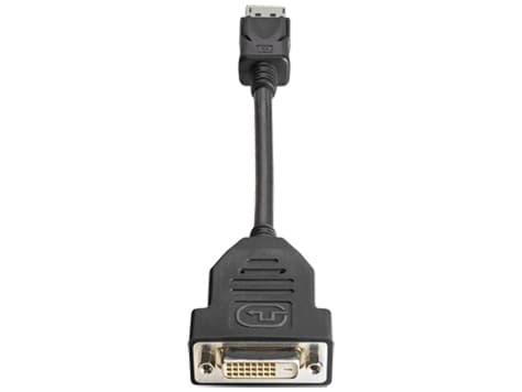 HP DisplayPort - DVI-D 0,19 m Sort