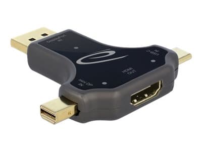 Delock - Video adapter - 24 pin USB-C, Mini DisplayPort, DisplayPort hann til HDMI hunn - antrasitt - 4K-støtte