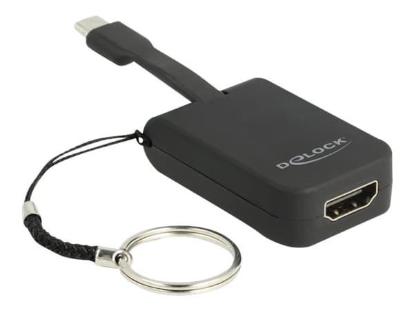 Delock - Ekstern videoadapter - RTD2171U - USB-C - HDMI - svart