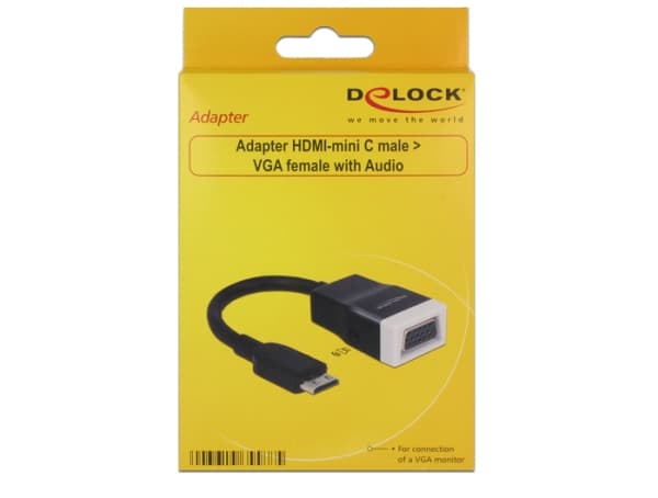 Delock - Video/audio-adapter - 19 pin mini HDMI Type C hann til HD-15 (VGA), mini-phone stereo 3.5 mm hunn - 15 cm - svart, hvit