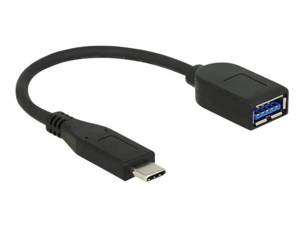 Delock Premium - USB-adapter - USB-type A (hunn) til 24 pin USB-C (hann) - USB 3.1 Gen 2 - 10 cm - svart