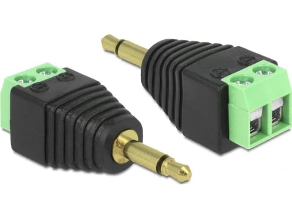 Delock - Audioadapter - 2-pins terminalblokk hann til mini-phone stereo 3.5 mm hann
