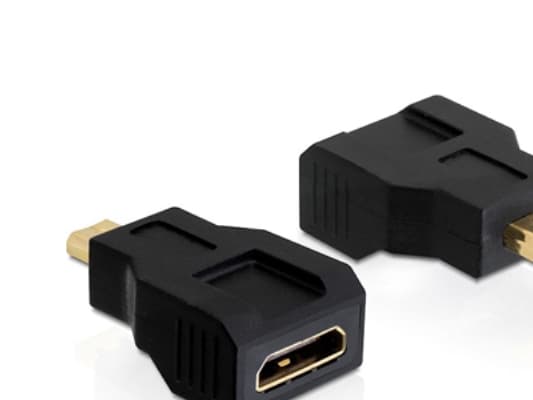 Delock Adapter High Speed HDMI with Ethernet - HDMI-adapter - 19 pin mini HDMI Type C hona till 19 pin micro HDMI Type D hane