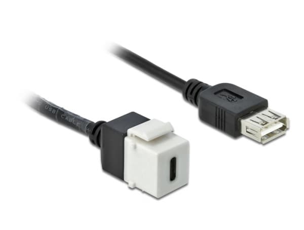 Delock Keystone module - Modulär insättning - USB Typ C - vit