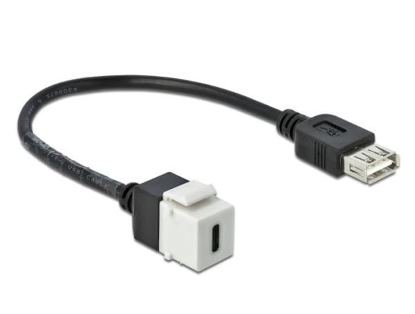 Delock Keystone module - Modulär insättning - USB Typ C - vit