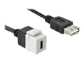Miniatyrbild 1 av 3: Delock Keystone module - Modulär insättning - USB Typ C - vit