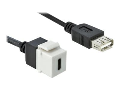 Delock Keystone module - Modulär insättning - USB Typ C - vit