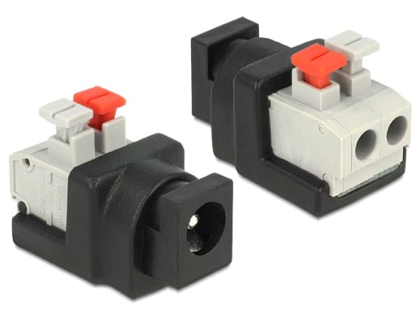 Delock - Strømadapter - 2-pins terminalblokk (hunn) til 5,5 x 2,1 mm DC-jakk (hunn)