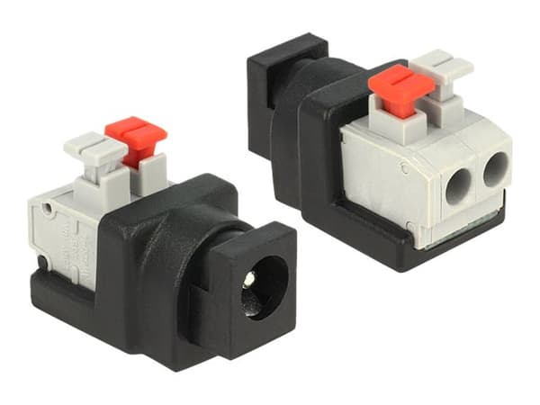 Delock - Strømadapter - 2-pins terminalblokk (hunn) til 5,5 x 2,1 mm DC-jakk (hunn)