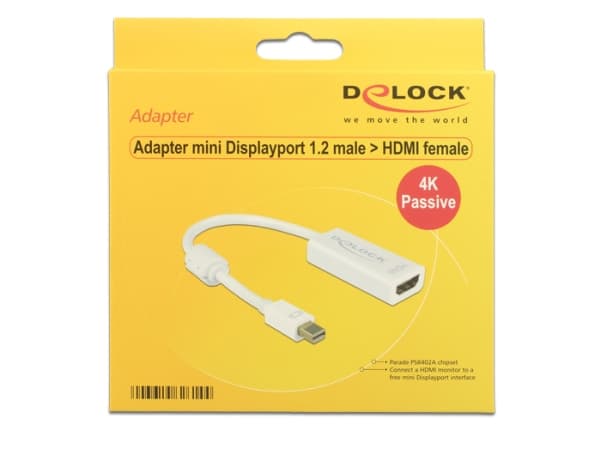 Delock - DisplayPort-adapter - DisplayPort (hann) til DVI-I (hunn) - 20 cm - hvit