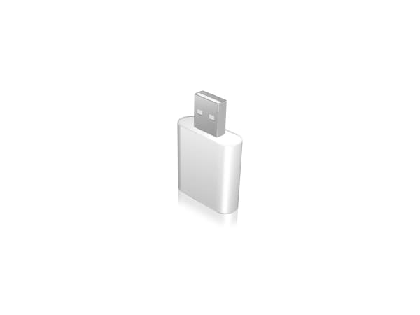 ICY BOX IB-AC527 - Ljudkort - 16-bitars - 48 kHz - stereo - USB 2.0 - HS-100B