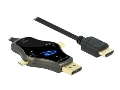 Delock 3 in 1 - Video adapter - DisplayPort, Mini DisplayPort, 24 pin USB-C hann til HDMI hann - 1.75 m - antrasitt - 4K-støtte
