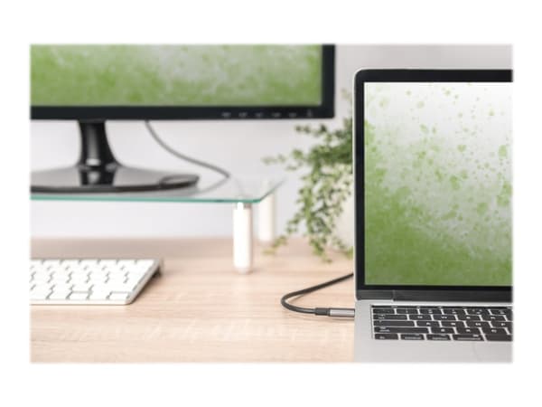 DIGITUS - Adapterkabel - 24 pin USB-C hane till HDMI hane - 1.8 m - svart - stöd för 4K, stöder 21:9-filmförhållande