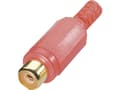 Pikkukuva 3 / 3: BKL Electronic 0105002/T, Naaras/naaras, Punainen, 0,03 g