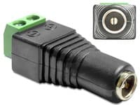 Delock Adapter DC 2.1 x 5.5 mm female > Terminal Block - Strömadapter - 2 stifts terminalblock (hona) till likströmsuttag 2,1 mm (hona)