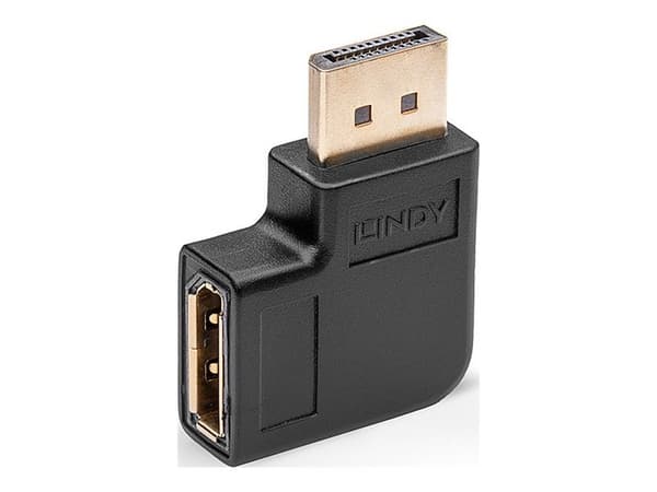 Lindy 41334 kabelkjønnsendring DisplayPort Sort