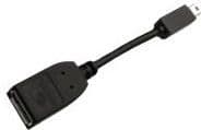 PNY - DisplayPort-adapter - Mini DisplayPort til DisplayPort - svart