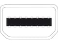 Miniatyrbilde 5 av 5: DIGITUS - DisplayPort-adapter - Mini DisplayPort (hann) til HD-15 (VGA) (hunn) - 15 cm - formstøpt - hvit