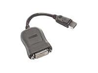 Lenovo 43N9160, DVI-D, DisplayPort, Sort, Hankjønn/hankjønn