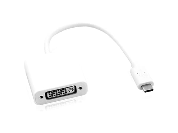 ROLINE 12.03.3205, 0,1 m, USB Type-C, DVI-D, Hankjønn, Hunkjønn, Rett