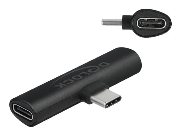 Delock - USB-adapter - 24 pin USB-C (hane) till 24 pin USB-C (hona) - USB 2.0 - 20 V - 3 A - svart