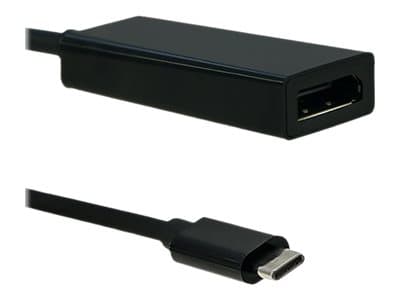 Qoltec - USB / DisplayPort-adapter - 24 pin USB-C (hann) til DisplayPort (hunn) - USB 3.1 - 23 cm - 4K-støtte - svart Sort