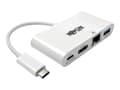 Pikkukuva 5 / 5: Tripp Lite U444-06N-H4GU-C, USB Type-C, USB Type-C + USB Type-A + HDMI, Uros, Naaras, 3840 x 2160 pikseliä, 3840 x 2160
