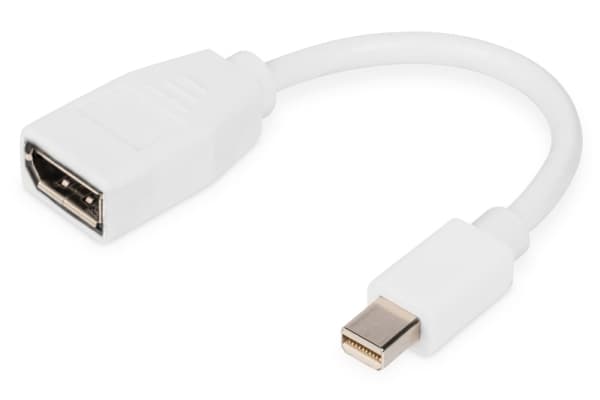 DIGITUS - DisplayPort-adapter - Mini DisplayPort (hann) til DisplayPort (hunn) - DisplayPort 1.2 - 15 cm - formstøpt, 4K 60Hz støtte - hvit