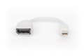 Miniatyrbilde 4 av 5: DIGITUS - DisplayPort-adapter - Mini DisplayPort (hann) til DisplayPort (hunn) - DisplayPort 1.2 - 15 cm - formstøpt, 4K 60Hz støtte - hvit