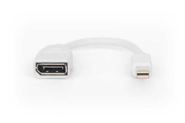 DIGITUS - DisplayPort-adapter - Mini DisplayPort (hann) til DisplayPort (hunn) - DisplayPort 1.2 - 15 cm - formstøpt, 4K 60Hz støtte - hvit