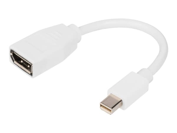 DIGITUS - DisplayPort-adapter - Mini DisplayPort (hann) til DisplayPort (hunn) - DisplayPort 1.2 - 15 cm - formstøpt, 4K 60Hz støtte - hvit