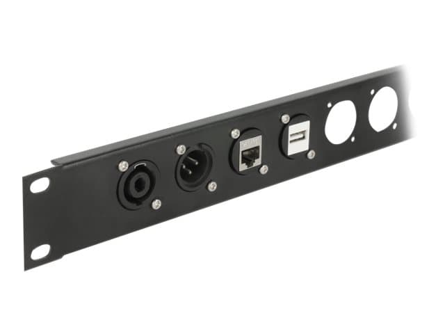 Delock D-Type Module RJ11 Cat.3 jack to jack - Modulkontaktplatta med insnäppsfästen - kan monteras på panel - RJ-11 - svart