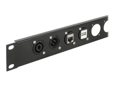 Delock D-Type Module USB 2.0 Type-A female to female - Påknipsbar mulighetsmodulfrontplate - panelmonterbar - USB 2.0 Type A - svart